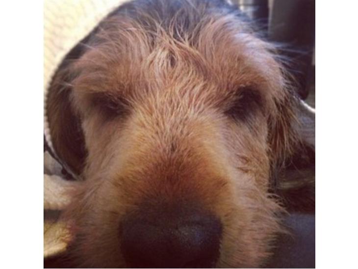 {{currentPhoto.altText}} billede {{currentPhoto.number}}