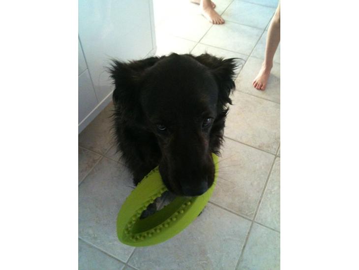 {{currentPhoto.altText}} billede {{currentPhoto.number}}