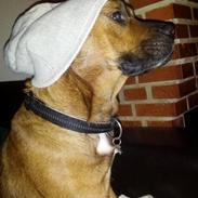 Blanding af racer Mille