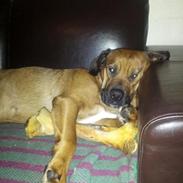 Blanding af racer Mille