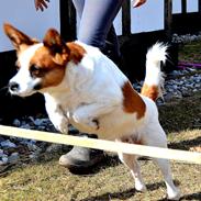 Blanding af racer Fuddi(tutti)<3