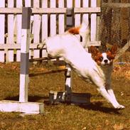 Blanding af racer Fuddi(tutti)<3