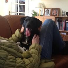 Blanding af racer (Zara)