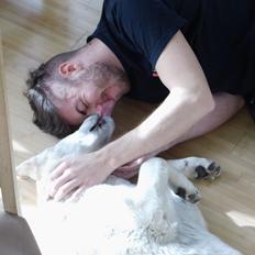 Anatolsk hyrdehund "Ayisi" Akira Ranc Na Dulnaku