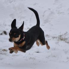 Blanding af racer chanel