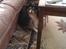 Shetland sheepdog Zimba *RIP*