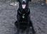 Blanding af racer Buster **HIMMELHUND**