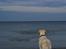 Golden retriever Bertha *Tricksdyret*<33 - Heyyy hvor er stenen??
Foto: Mor