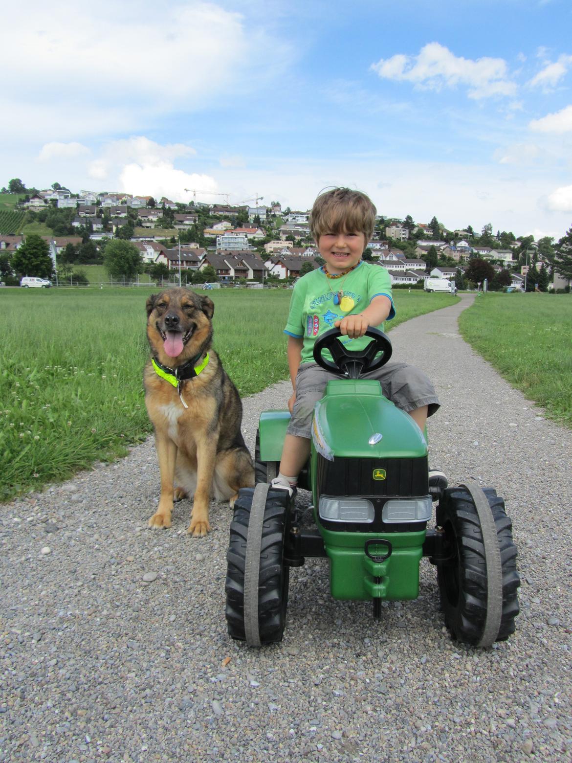 Blanding af racer Ginral Inari billede 13