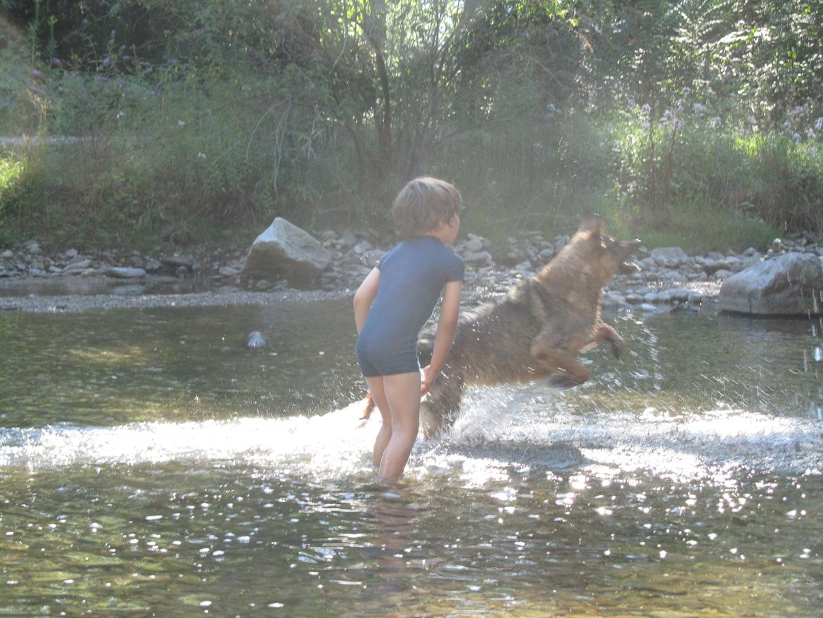 Blanding af racer Ginral Inari billede 15