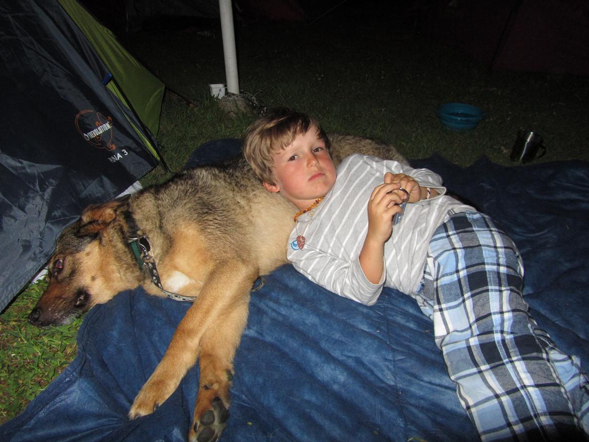 Blanding af racer Ginral Inari billede 16