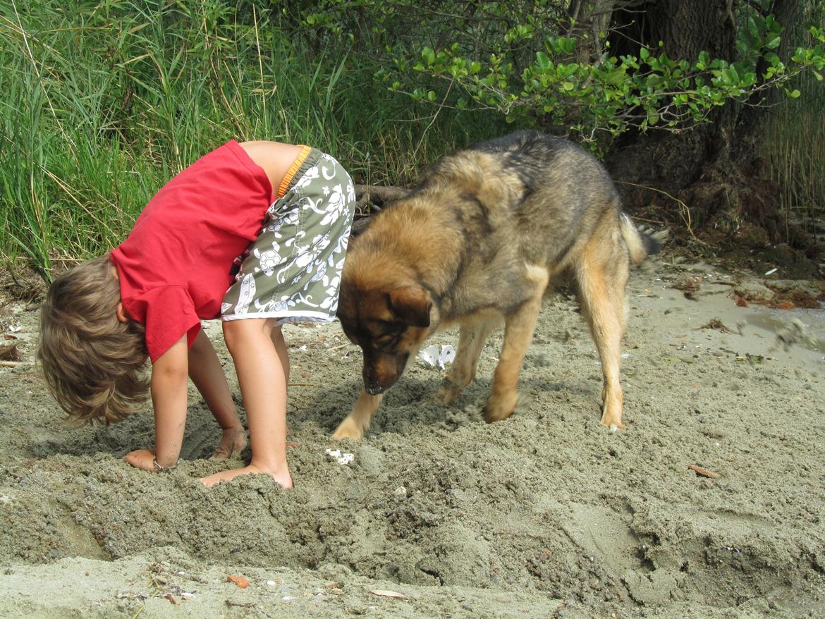 Blanding af racer Ginral Inari billede 17