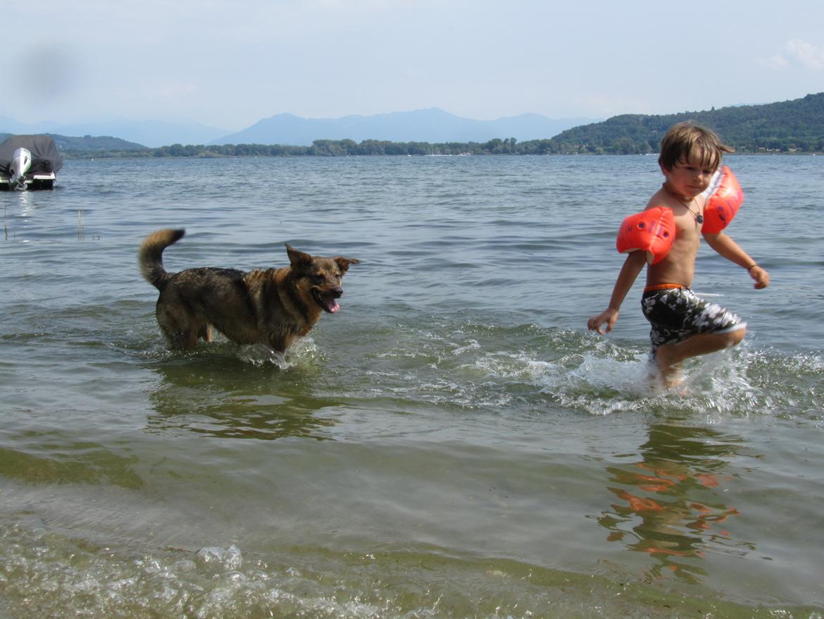 Blanding af racer Ginral Inari billede 18