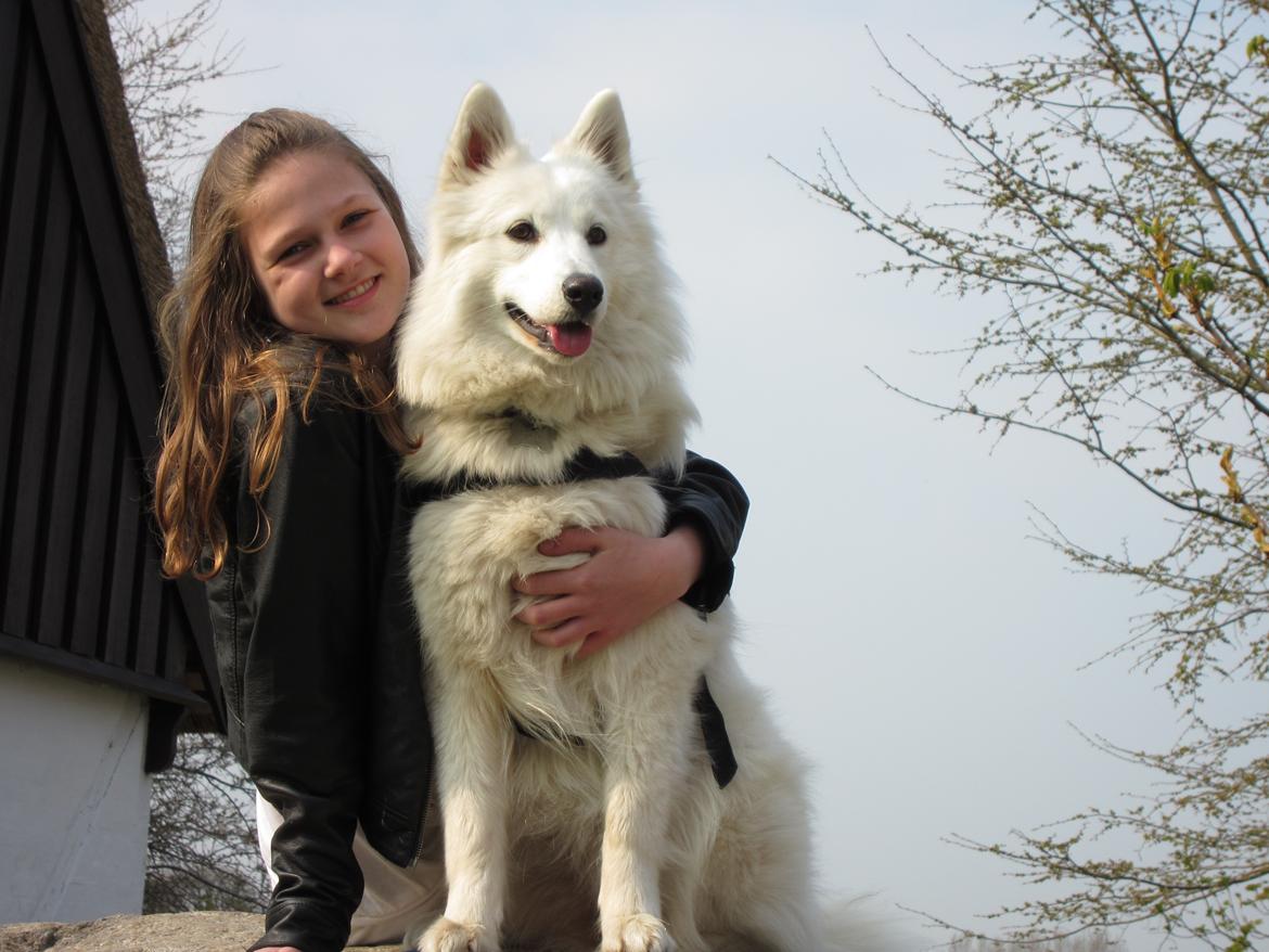 Blanding af racer Ladie (Mussen) - Miigh og Mussen! xD billede 7