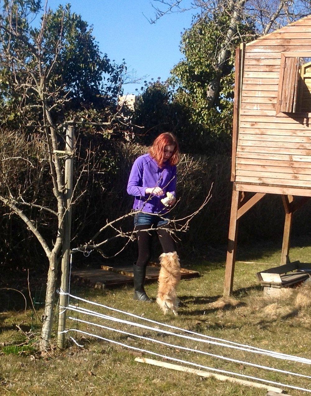 Blanding af racer sussi billede 12