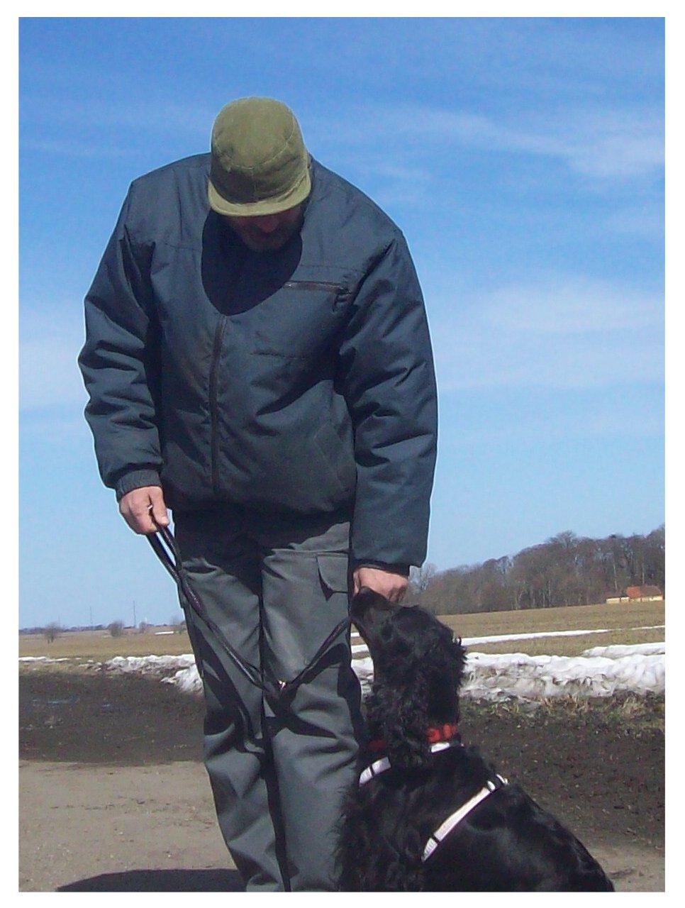 Cocker spaniel Rosa - Jeg har trænet hunde i lydighed siden barnsben, her får manden lov at låne Rosa:O) billede 9