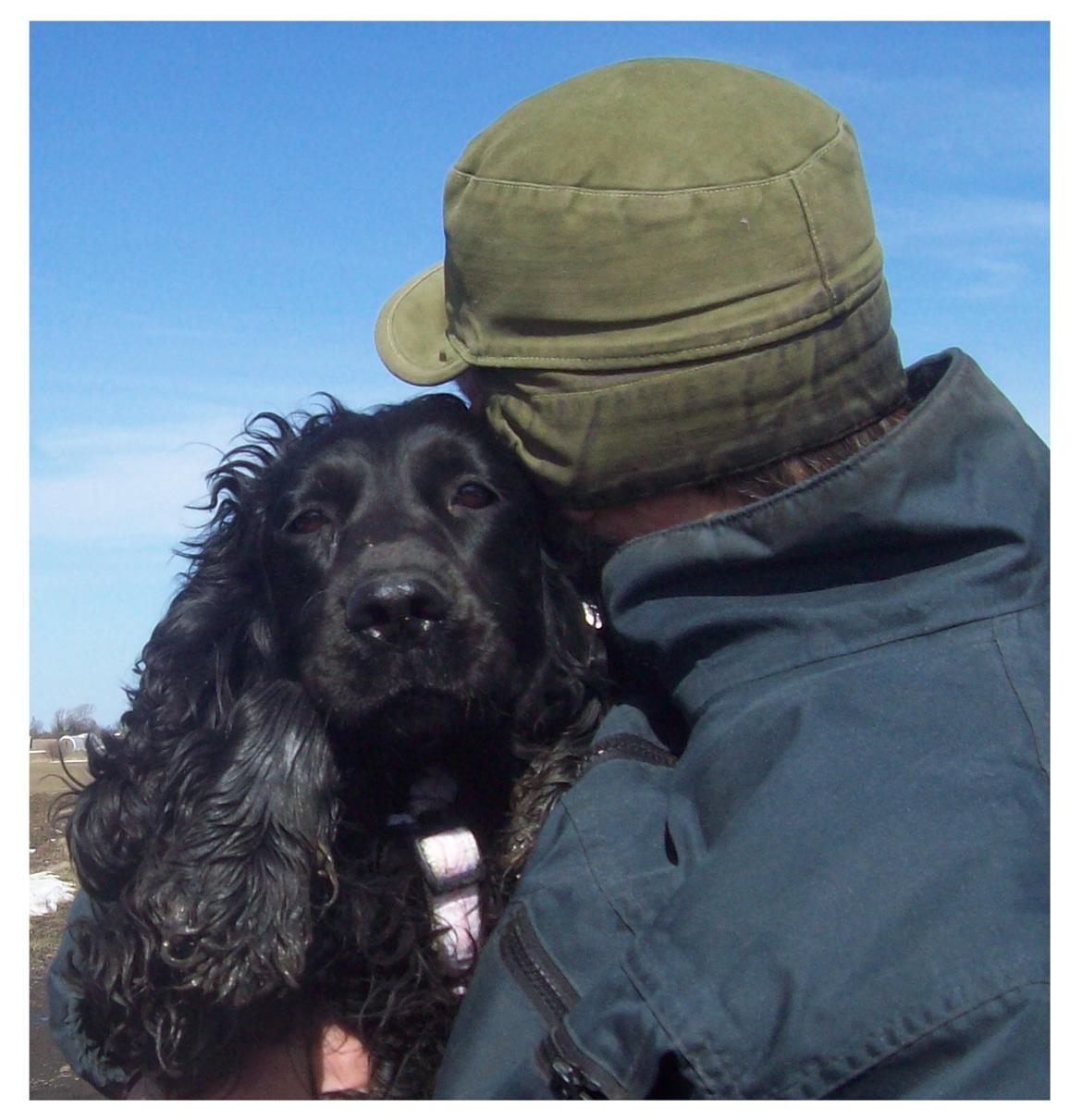 Cocker spaniel Rosa - Mine krammedyr samlet på et billede. billede 10