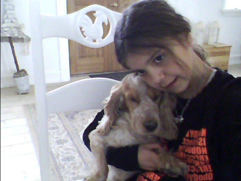 Cocker spaniel Buller og fie billede 8