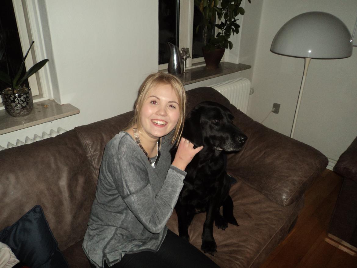 Labrador retriever Raja - Nynne og Raja hygger! billede 22