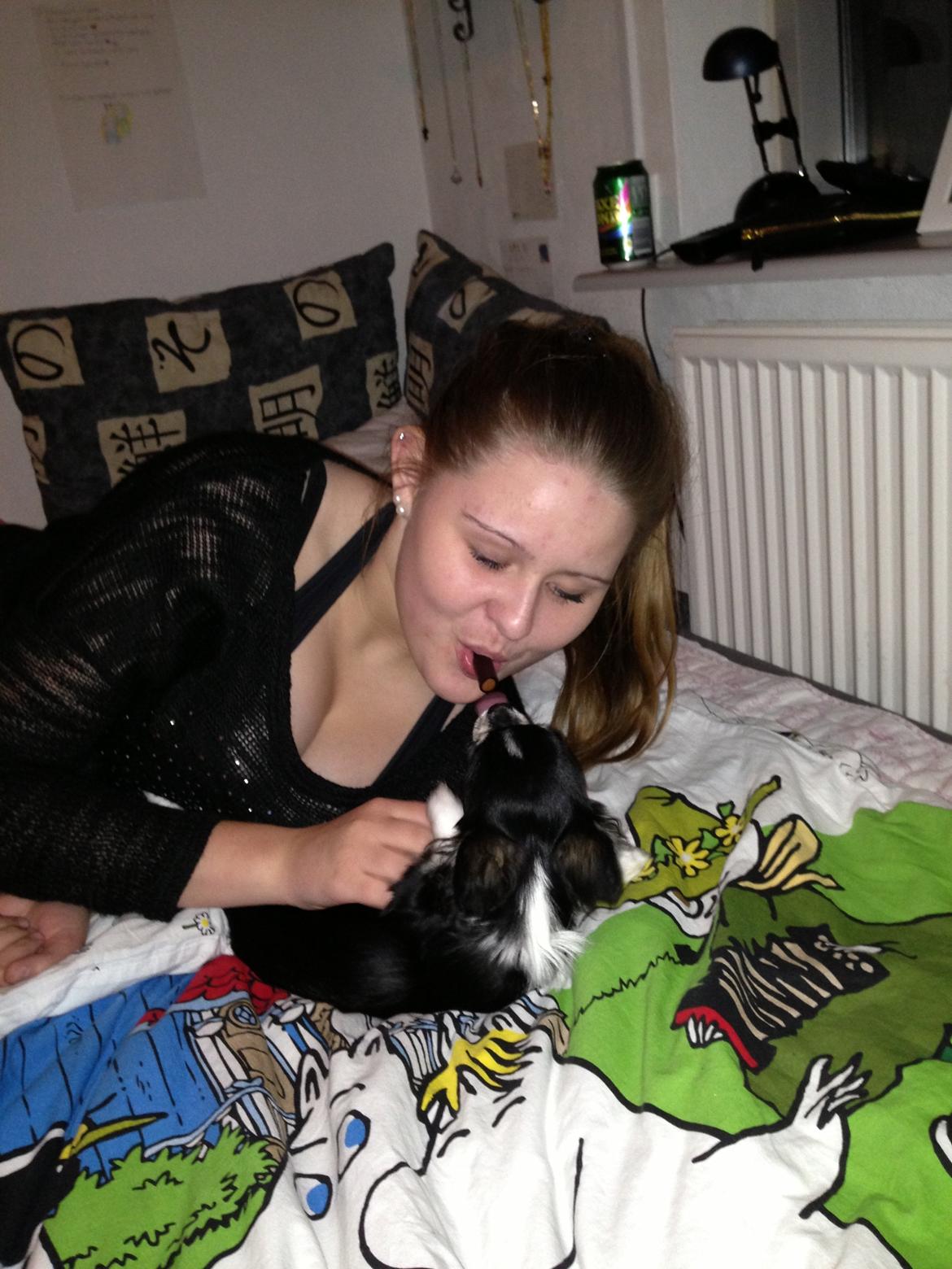 Chihuahua Chanel billede 18