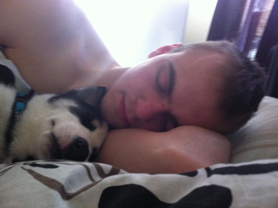 Blanding af racer Blaze - Der bliver puttet hos far :) billede 15