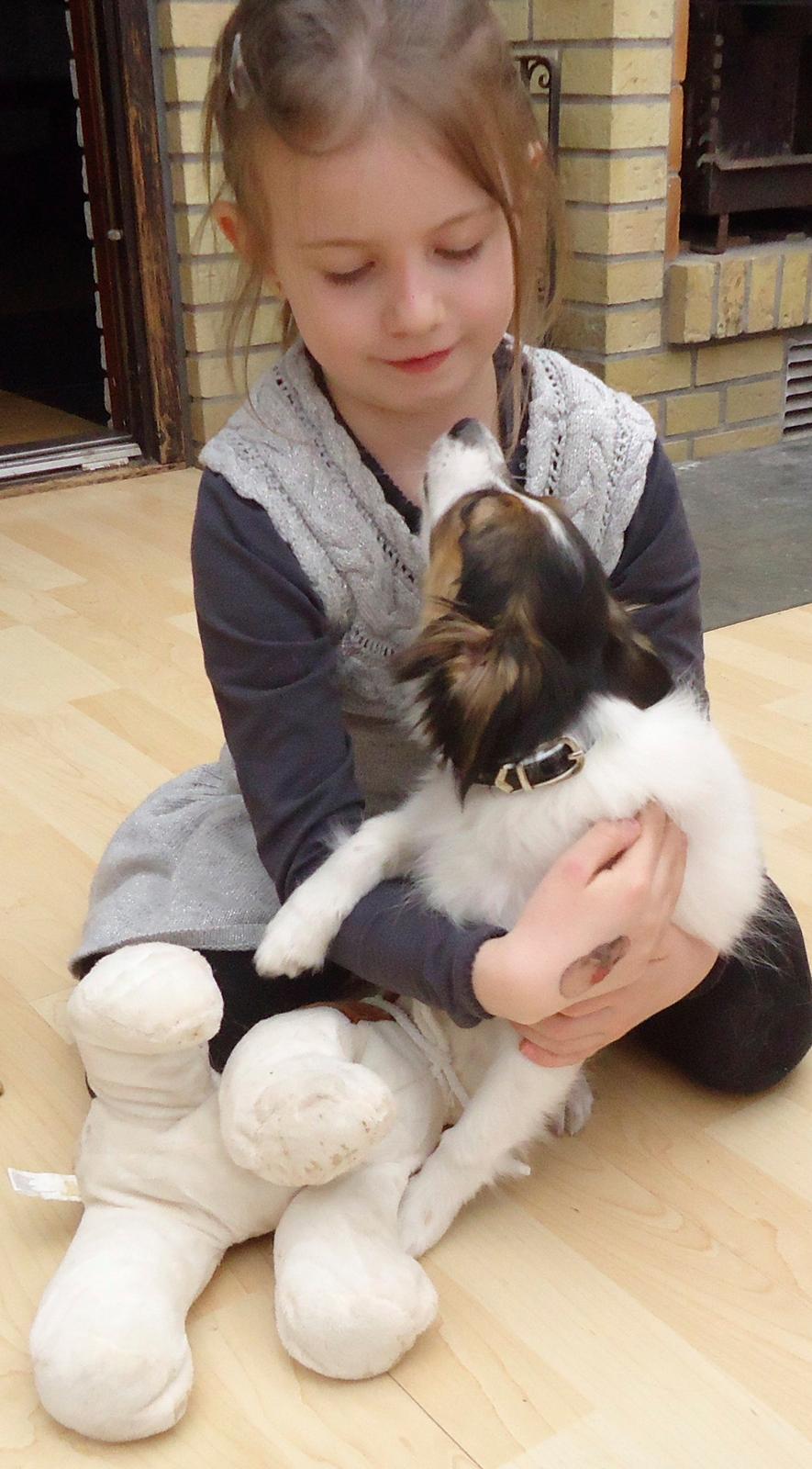 Papillon Alberte Demanture my dream. billede 19