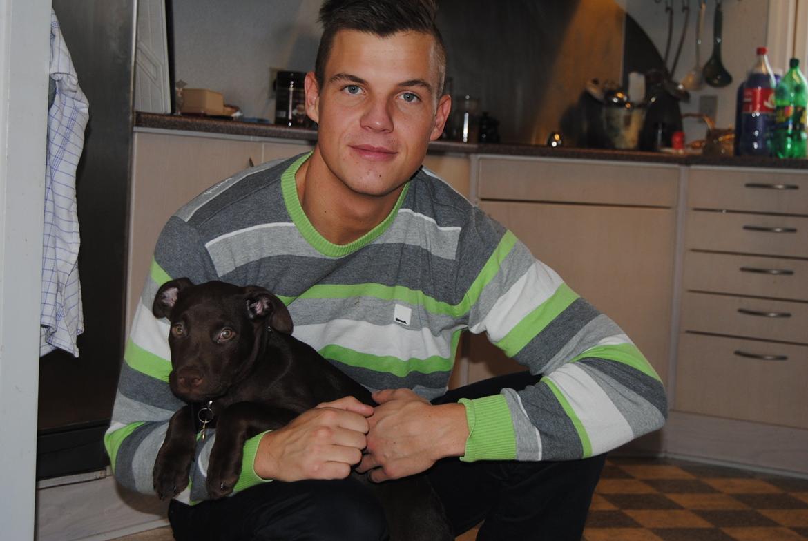 Blanding af racer Tyson billede 22