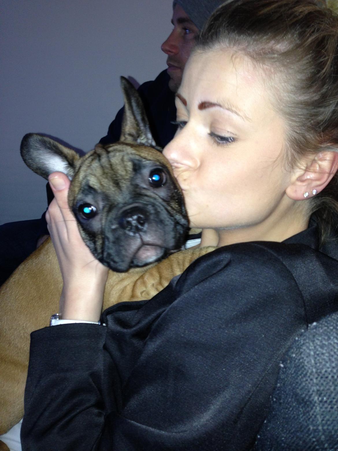 Fransk bulldog Fie billede 2