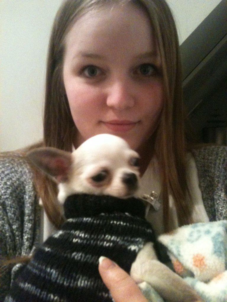 Chihuahua Rickey billede 2