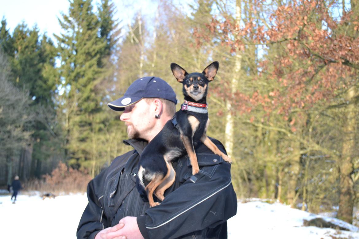 Blanding af racer chanel billede 17