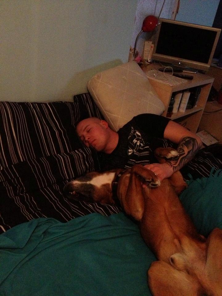 Blanding af racer Simba billede 4