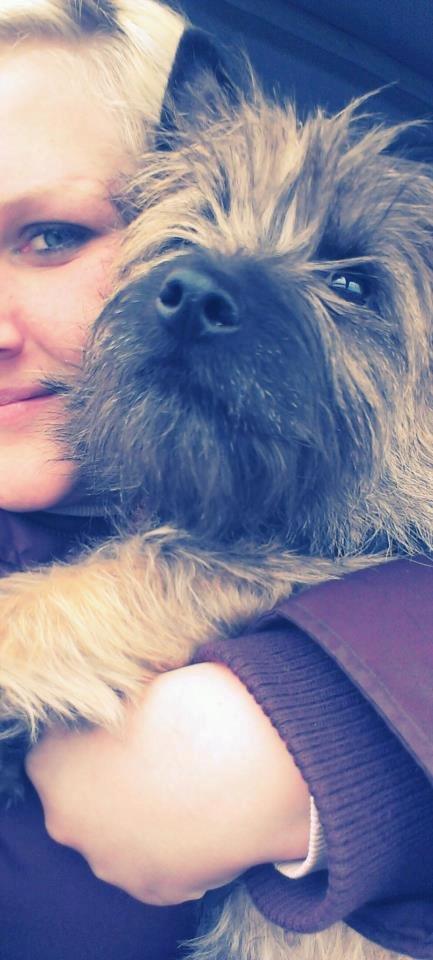 Cairn terrier Malou - Min bedste ven <3 billede 3