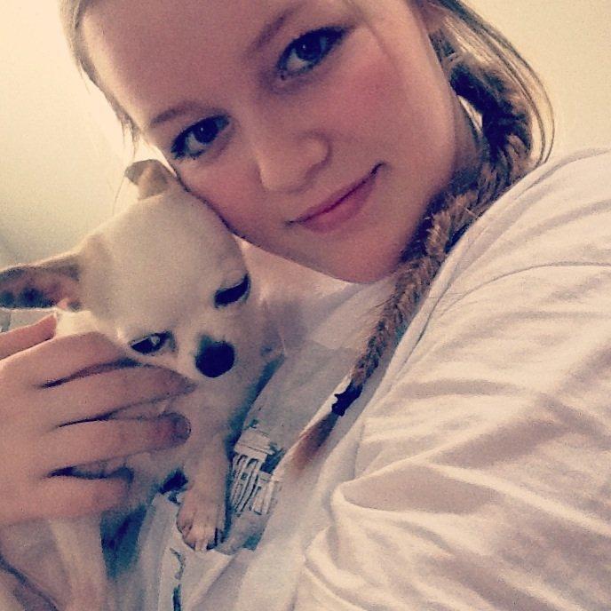 Chihuahua Rickey billede 13