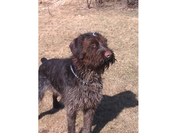 {{currentPhoto.altText}} billede {{currentPhoto.number}}