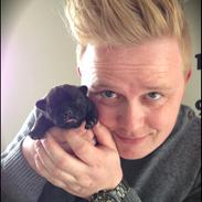 Fransk bulldog Knakker's Bertha Jensen