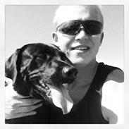 Labrador retriever Aston