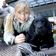 Blanding af racer Lucky