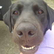 Blanding af racer Diego