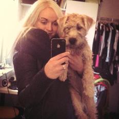 Soft-coated wheaten terrier Lulu