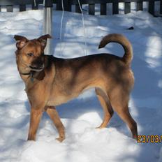 Blanding af racer Bella Vista <3