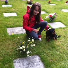 King charles spaniel Angie