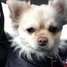 Blanding af racer Nulle