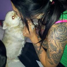 Blanding af racer Nulle