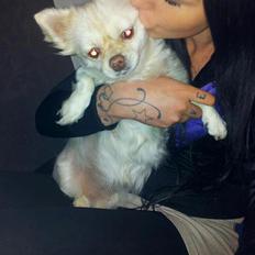 Blanding af racer Nulle