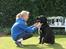 Labrador retriever Albert<3 - By the way, I'm wearing the smile you gave me.<3
