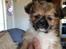 Blanding af racer Bella - 19-04-2013