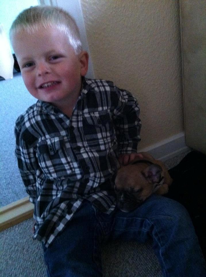 Fransk bulldog Gucci - En stolt dreng :) billede 6