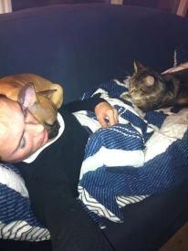 Fransk bulldog Gucci - aftenhygge med min mor og katten Cleo :) billede 10