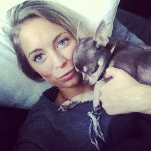 Chihuahua Kayla billede 4