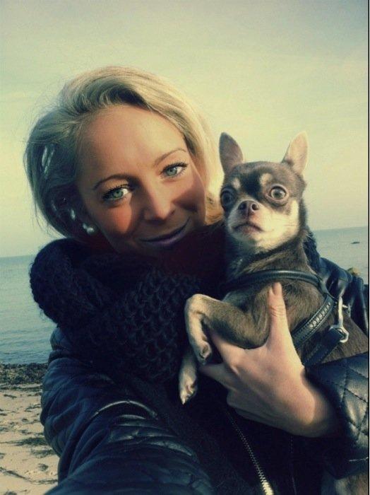 Chihuahua Kayla - Velkommen til min profil allesammen, håber I kan lide mine billeder :-) billede 1